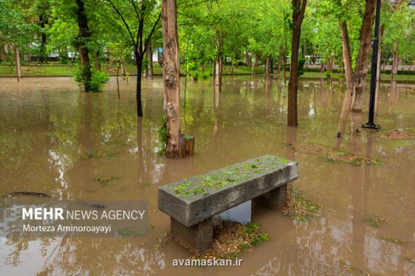 صدور اخطار بارش شدید در ۴ استان